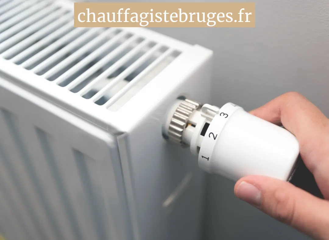 Remplacement de Thermostat Bruges